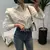 Camisa feminina outono novo chique manga longa blusas soltas elegantes - Dhiulia Valeska 