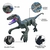 Dinossauro Velociraptor Com Controle Remoto - Zoop Toys - comprar online