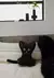 Dolls Home Possessed Feline Cat Pillow Black en internet