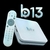 Btv 13