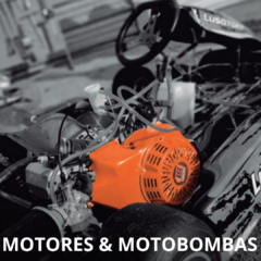 Banner de la categoría MOTORES & MOTOBOMBAS