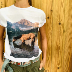 Remera de caballo - tienda online