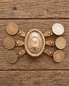 Rastra escudo argentino