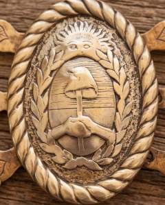Rastra escudo argentino en internet