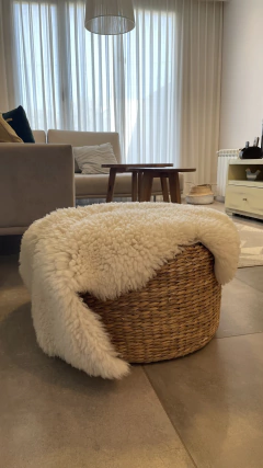 Corderito de oveja - tienda online