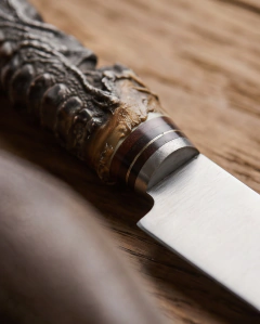 set de cuchillo y tenedor Cabo de uña - comprar online