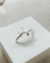 Anillo Avión