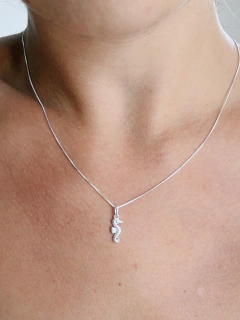 Conjunto Caballito de Mar en internet