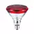 Lâmpada Infravermelho Ired Lamp - comprar online