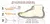 Sapato original MNDK - loja online
