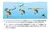 Isca Japonesa Yo-zuri® Duel Hardcore Minnow Flat 70f- Hcr na internet