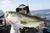 Isca Japonesa Yo-zuri® Duel Hardcore Minnow Flat 95sp- Gssh na internet