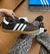 Adidas samba marrom couro - comprar online