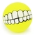 Bola Dentes De Cão - VET WORD