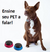Ensine seu Pet a Falar - Botões Graváveis | Para Cachorro - VET WORD