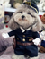 Fantasia Pet Policial | Para Cachorro e Gato - comprar online