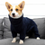 Macacão Pet Fleece Ajustável | Para Cachorro e Gato na internet