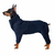Macacão Pet Fleece Ajustável | Para Cachorro e Gato - VET WORD