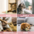 Sorvetinho Catnip | Para Gato - VET WORD