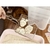 Pazinha Cat Toilet - loja online