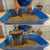 Pazinha Cat Toilet na internet