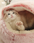 Imagem do Toquinha Nuvem | Para Cachorro e Gato