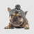 Gorro Pet | Para Cachorro e Gato - VET WORD