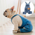 Macacão Jeans | Para Cachorro - comprar online