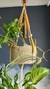 Suporte de Plantas Bicolor - loja online