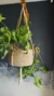 Suporte de Plantas Bicolor