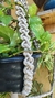 Suporte de Plantas Amizade