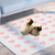 Imagem do Pantufas de Cachorro Pug 3D Tamanho Único