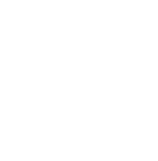 Holy Dream