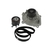 KIT DE CORREA DE DISTRIBUCIÓN CON BOMBA DE AGUA - VKMC 08502 - comprar online