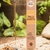 Sahumerio Palo Santo