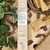 SAHUMERIO PALO SANTO CON YAGRA. PRECIO MAYORISTA X 10 $ 1135 C/U, PROMO X 5 $ 1332 C/U - comprar online