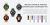 Imagem do Relógio Smartwatch Aurafit G12 AMOLED Com GPS