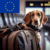 Anexos Europeos - comprar en línea