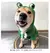 Buzo para Mascotas con Diseño de Rana - comprar en línea