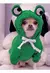 Buzo para Mascotas con Diseño de Rana en internet