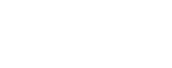 BARFFIT