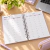 Planner Universitario en internet