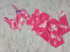 Conjunto Explosão Empina BumBum