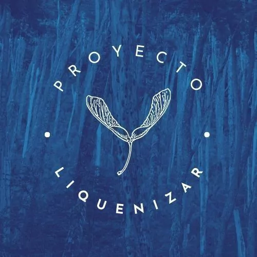 Proyecto Liquenizar