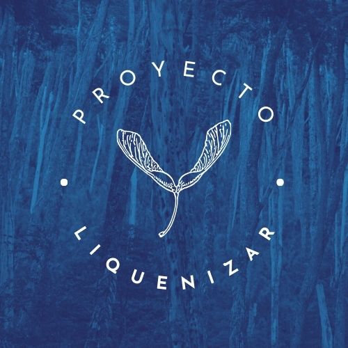 Proyecto Liquenizar