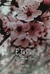 E.Ta.Pas.