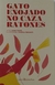 Gato enojado no caza ratones