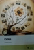 Ciclos