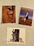 Stickers en internet