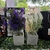 MACETA BASE GRIS CON FLORES